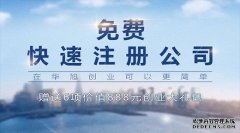 <b>外资公司注册代理</b>