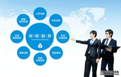 哪些公司需要出具审计报